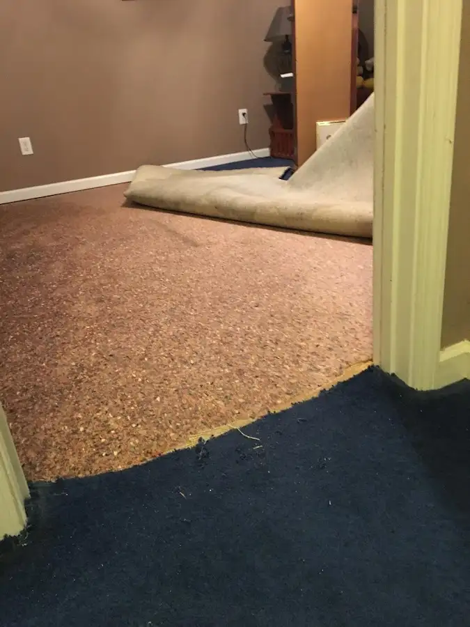 Carpet pad removal revealing water damage during Water Mitigation Services in East Lampeter